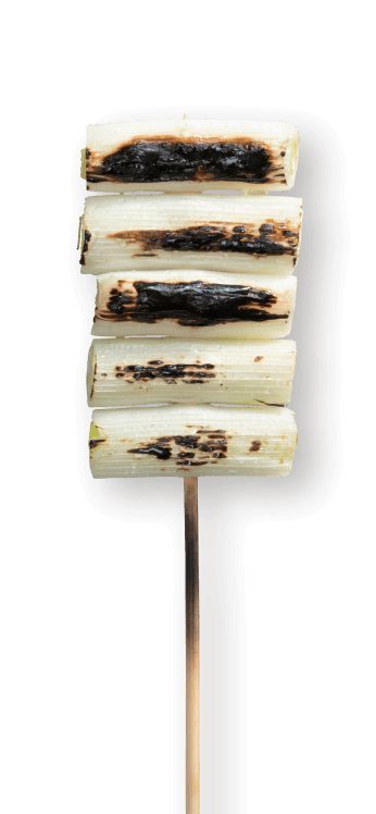Leek (Green Onion)